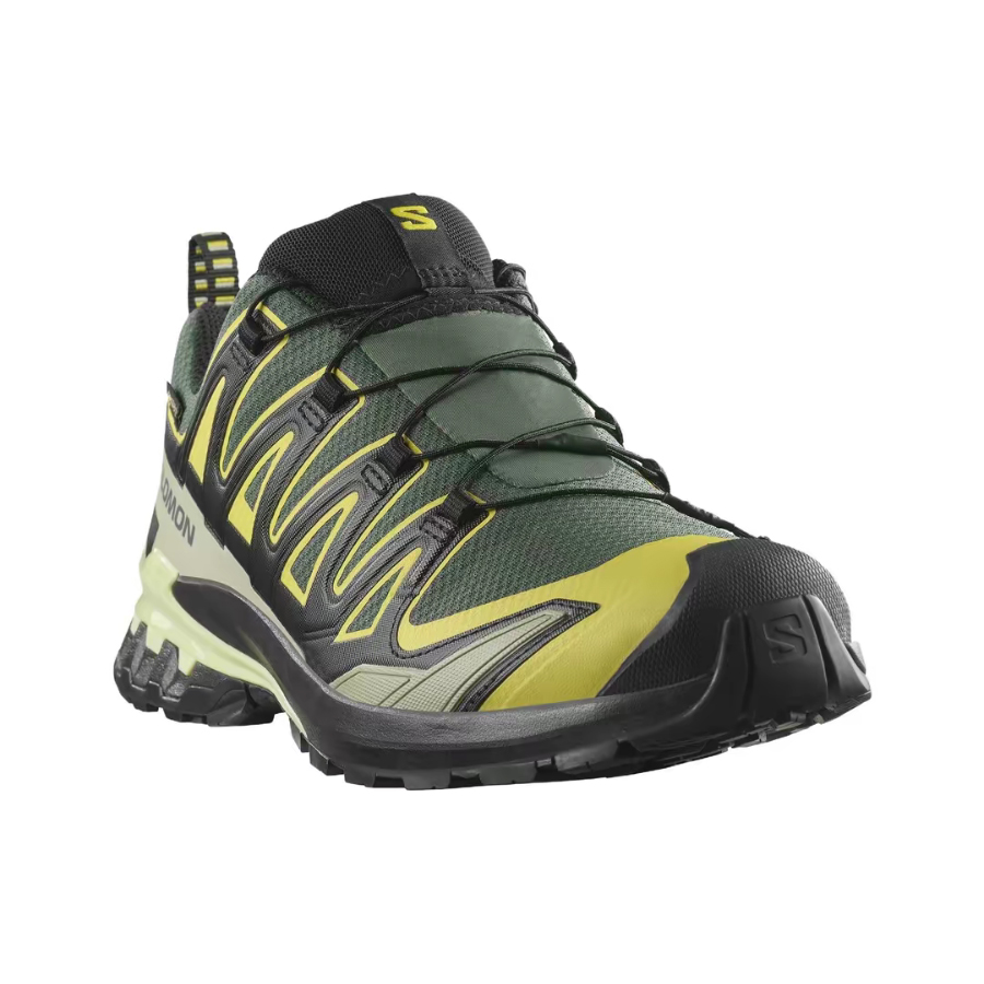 Salomon XA Pro 3D V9 GTX: Retr - Salomon Shoes Xa Pro 3D recension och pris